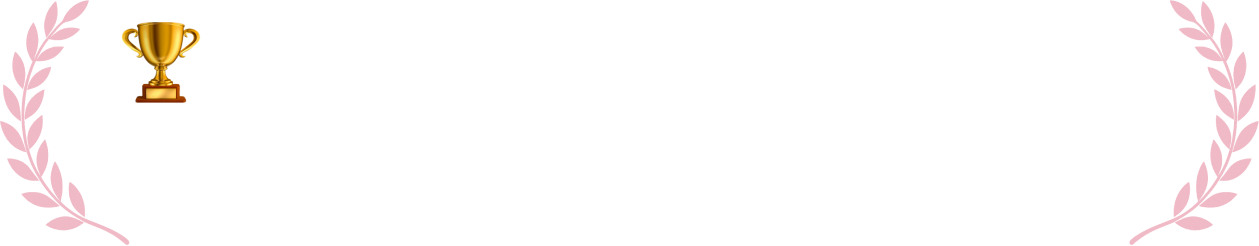 1st Prize • National Winner in Technological Innovation and Ingenuity